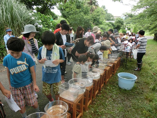 平成２７年度「新所あじさいまつり」への協力を開きます。